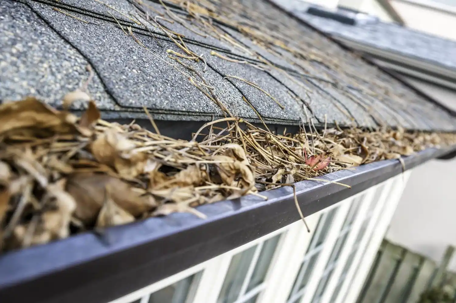 How Blocked Gutters Cause Roof Damage in Bournemouth Homes